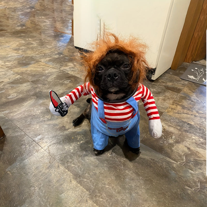 Fantasia de Halloween Chucky para Pet - O Terror Está Chegando! 🎃🐾