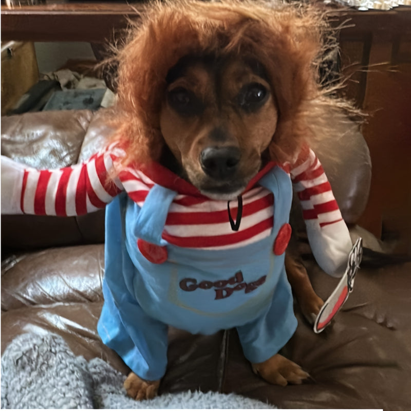 Fantasia de Halloween Chucky para Pet - O Terror Está Chegando! 🎃🐾